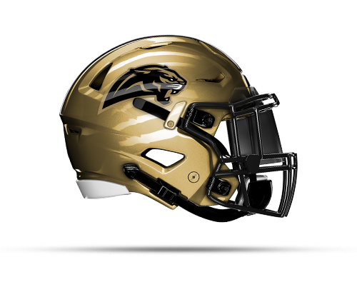 Bay Area Panthers Helmet