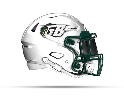 Green Bay Blizzard Helmet